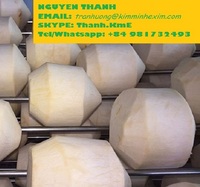 Jonge Kokosnootschil Tropisch & Subtropisch Fruit GEMEENS VOORVALLENDE Vietnamese AAA Premium Kwaliteit Verse Half-ontdopte