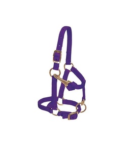 Lavande équestre en nylon Mini licou accessoire Premium pour l'entraînement des chevaux réglable - Product Image 1