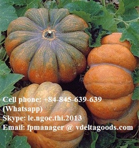 Calabazas heladas de alta calidad de Vietnam, calabazas congeladas baratas - Product Image 5