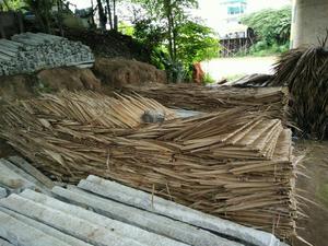 Techo de paja de hoja de palma // Sra. Beatrix - Product Image 3