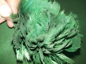 Wholesale Large Green BIG Size Plume Hackle <b>Feather</b> for Bonnet <b>Hat</b> Different Colors Free Sample - Product Image 3