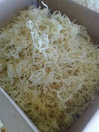 Dried Cottonii in bulk best quality - Product Image 4