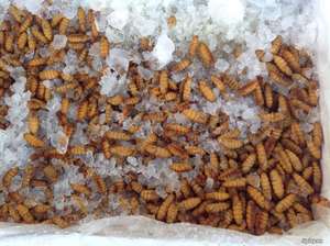 ไหมพรมขายส่งจำนวนมาก - Product Image 6