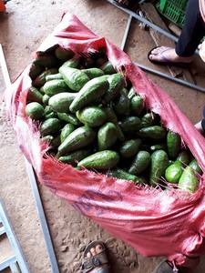 Avocat frais, 1 pièce, pour avocat glacé, bon prix et qualité, en 2020 - Product Image 4