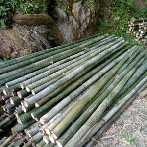 เสาไม้ไผ่ที่เป็นมิตร/รั้วไม้ไผ่ดิบ - Product Image 6