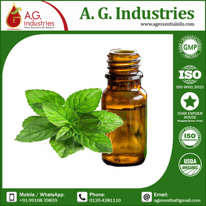 Embalaje a granel Fragancia de aceite de menta 100% Calidad superior Cuero cabelludo natural Fortalecimiento Aceite de Romero Crecimiento del cabello Producto para el cuidado de la piel - Product Image 4