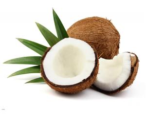 มะพร้าวกึ่งเปลือกมะพร้าวผู้ใหญ่ของเวียดนาม (WS: 0084987731263) - Product Image 1