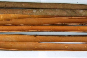 VIETNAMESE ROUND CUT CASSIA / SQUARE CUT CASSIA - Product Image 5