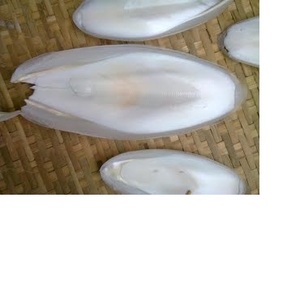 Os de coupe de poisson,, os de cutbeauty et de échalote, nourriture pour oiseau et perroquet - Product Image 6