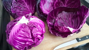 Bắp cải đỏ, bắp cải tím tươi - Product Image 4