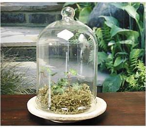 AIC Home Decor Clear <b>Glass</b> <b>Dome</b> with Knob in Art Deco Style for Stylish Interior Design - Product Image 3