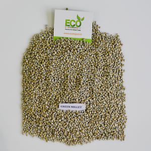 ลูกเดือยสีเขียวเกรดสูงสำหรับการบริโภคของมนุษย์ - Product Image 3