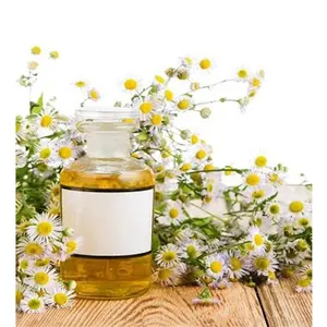 99% Minyak Chamomile Murni Digunakan untuk Perawatan Kulit