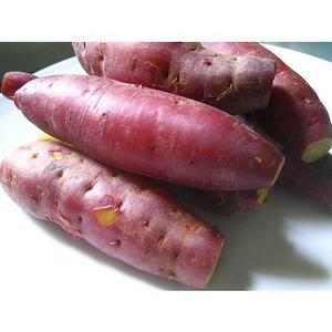 BULK QUANTITY <b>SWEET</b> <b>POTATO</b>/RED <b>POTATO</b> for SALE in 2020 - Product Image 4