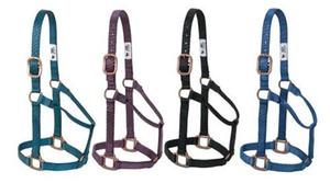 Cabestro para Caballo de Tela de Nailon Modelo AIHN-55 Multicolor - Product Image 5