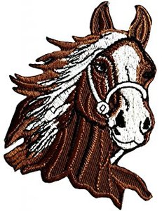 Patch brodé 3D thermocollant écologique Aigle, taille personnalisée - Product Image 3