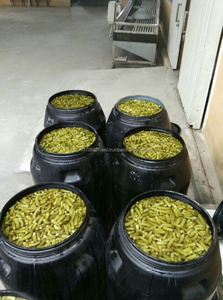 Concombre en conserve de haute qualité au goût aigre / cornichon / cornichon de concombre - Product Image 5