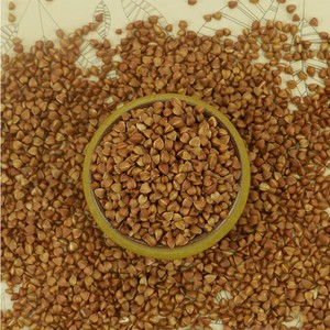 Granos de Trigo Sarraceno Enteros Baratos - Altos en Fibra y Nutrientes, Bolsa de PP de 25/50 kg - Product Image 2