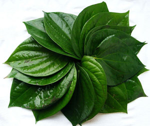 100% pur naturel feuille de bétel huile essentielle corps huile myrrhe café thé plante Paan huile extraits soins de la peau hydratant nourrissant - Product Image 3