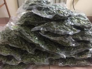 <span class=keywords><strong>Pepe</strong></span> <span class=keywords><strong>nero</strong></span> essiccato in grani/<span class=keywords><strong>olio</strong></span> <span class=keywords><strong>essenziale</strong></span> di <span class=keywords><strong>pepe</strong></span> verde fresco/vacanza - Product Image 3