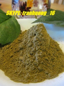 High Quality Natural Soursop Leaf Tea <b>Powder</b> and Extract Vietnam Herbal <b>Drink</b> for Wholesale - Product Image 4