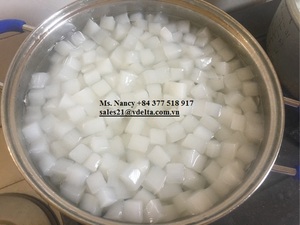 GELÉE DE NOIX DE COCO DE HAUTE QUALITÉ/NATA DE COCO CRUE PRIX DE HAUTE QUALITÉ et BON MARCHÉ au VIETNAM - Product Image 2