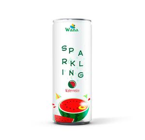 Boisson gazeuse à la mangue certifiée halal de 320ml du fabricant OEM Jus naturel coloré aux fruits et légumes - Product Image 6