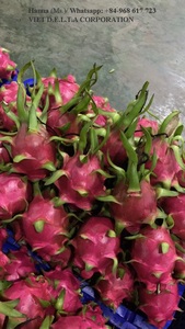 Fruits de dragon en rouge, 7 pièces, de haute qualité, meilleur prix - Product Image 3
