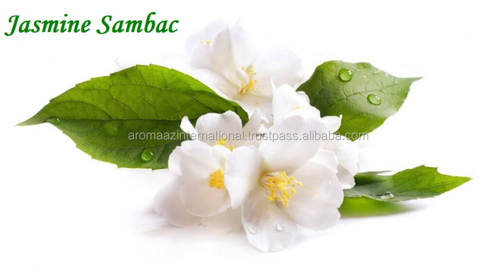 Orange to brown Liquid