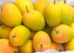 Mangue séchée-Savoureux en vrac le plus délicieux - Product Image 5