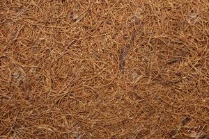 ใยมะพร้าว/ใยมะพร้าวสำหรับทำที่นอนจากเวียดนาม - Product Image 5