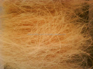 Indien Fibre De Noix De Coco - Product Image 3
