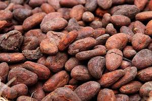 เมล็ดโกโก้อารีบาคั่ว ได้รับการรับรองจาก USDA  แห้ง  น้ำหนัก  แหล่งกำเนิด แอฟริกาใต้  คุณภาพพรีเมียม - Product Image 2