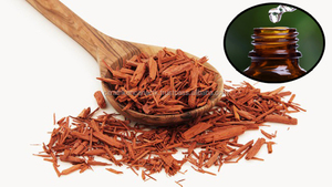 VIETNAM JOSS POWDER/ POWDERED INCENSE/ Raw Material For Incense/STICK INCENSE/INDIAN INCENSE/RELIGIOUS/WA+62-813-1000-9307 - Product Image 6