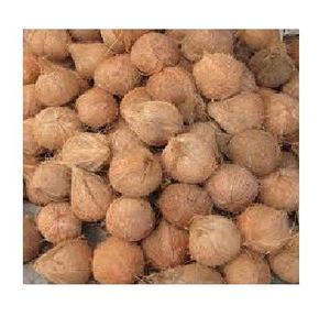 มะพร้าวแห้งขายส่งจากเวียดนาม - Product Image 4