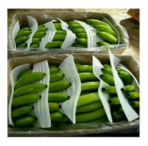 PLÁTANO CAVENDISH VERDE AL POR MAYOR/ MEJOR PRECIO - Product Image 3