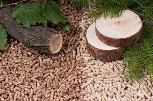 Briquetas de haya/roble/Álamo, combustible de biomasa, pellets de madera de pino y roble, precio tonelada - Product Image 3