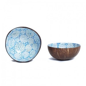 ชามมะพร้าวแบบใช้แล้วทิ้งที่ยั่งยืนสำหรับสมูทตี้วีแกนออร์แกนิกและอาหารเพื่อสุขภาพไม่มีของเสีย - Product Image 4