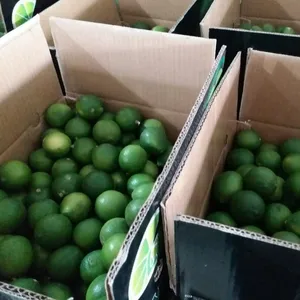 Citron frais sans graines, 20 pièces, au meilleur prix du vietnam/ Ms, vacances 0084 845 639 639