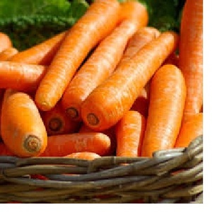 แครอทที่มีคุณภาพดี-ราคาที่ดีที่สุด - Product Image 5