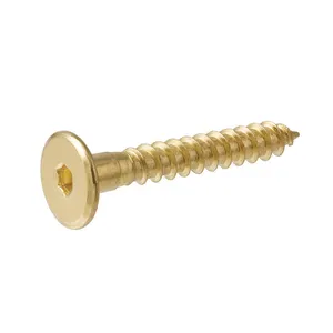 Standard Quality Brass Customized Iron Stainless Steel Small Brass Screws Set At Best Price