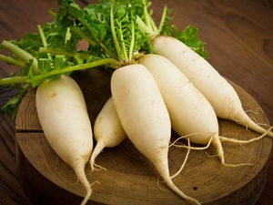 Daikon-rábano blanco fresco, WHATSAPP + 0084 845 639639, gran oferta - Product Image 6