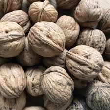 Proveedor Mayorista de Nueces Crudas Secas de Primera Calidad de Sudáfrica en Empaque de 10 kg a Precio Económico - Product Image 2