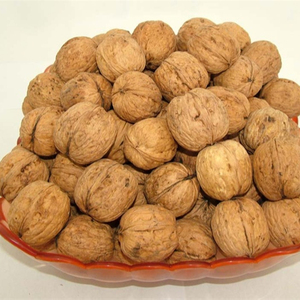 วอลนัทอบแห้งแบบครึ่งซีกพรีเมียมคุณภาพสูง แบบมีเปลือก 100% ธรรมชาติจากแอฟริกาใต้ ขายส่ง - Product Image 1