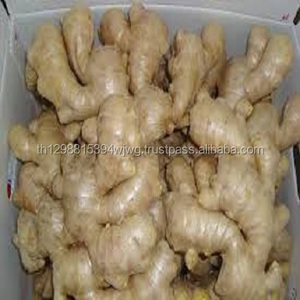 Gingembre frais 200g, livraison gratuite, vente en gros - Product Image 2