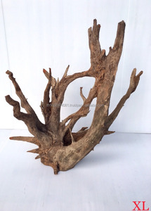 ซากไม้ขายส่ง - Product Image 6