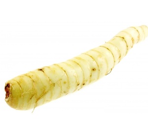 Fécule de manioc de qualité export au meilleur prix du Vietnam - Product Image 1