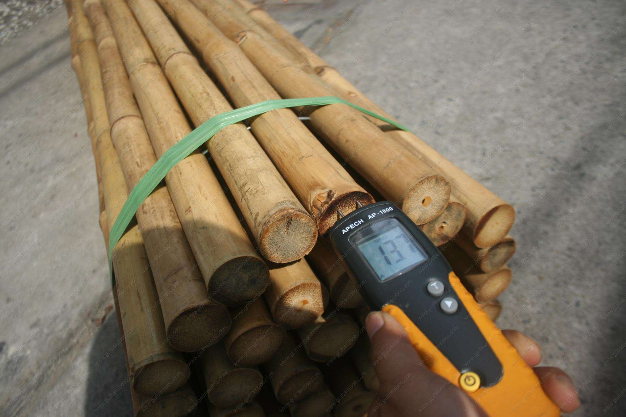 ธรรมชาติ