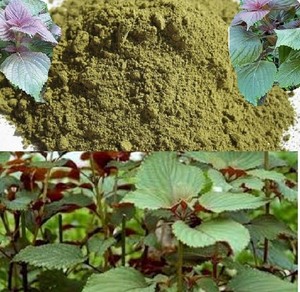 POLVO DE SHISO - POLVO DE PERILLA de Vietnam Sra. Holiday - Product Image 4