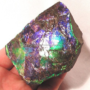 Ammolite Naturelle Brute Non Taillée Formes Mixtes Multicolore Vente en Gros Prix Usine Personnalisé Coszcalt Exports - Product Image 1